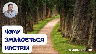 Чому ми відчуваємо поганий настрій? Це всього лише наша оцінка!