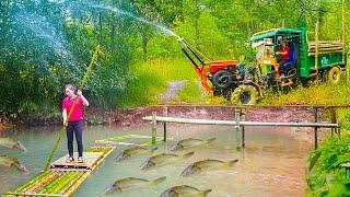 Renovate Wild Water Puddles And Release Fish To Raise - Live With Nature | Hông Vân Daily Life