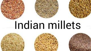 Millets names English to Telugu millets names millets names in telugu millets names in english