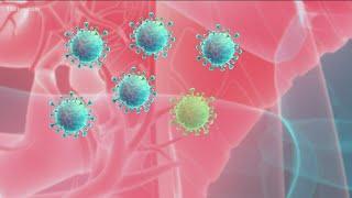 Why do viruses mutate?