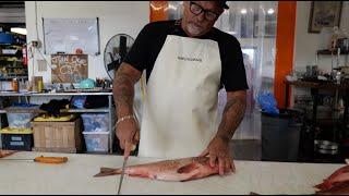 How to fillet a Rockfish