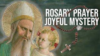 Pray With Me Guided Rosary Prayer | Joyful Mysteries (Pray Along)