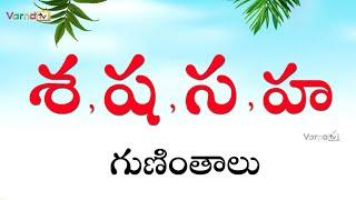 శ, ష, స, హ గుణింతాలు | How to write Telugu Sa, Sha, Ha guninthalu | Telugu Guninthalu | Learn Telugu