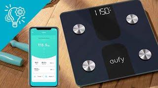 5 Coolest Smart Scales In 2024