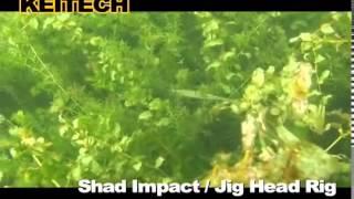 Shad Impact - Jig Head