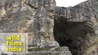 Holy cave of Lord Shiva - Amarnath