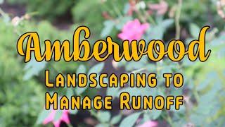 Amberwood - Landscaping to Manage Runoff