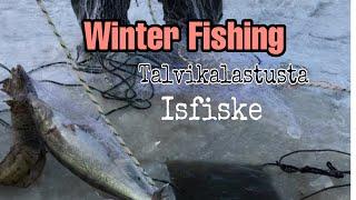 WINTER FISHING | TALVIKALASTUS VERKOILLA| ISFISKE | ICE FISHING | NET FISHING | PANGINGISDA | ISDA