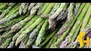 Asparagus prices 2021/2022 latest, global prices - today