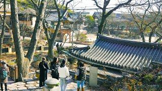 Gilsangsa Temple, a hidden spot in Seoul, Transformation of the high-class restaurant, Seoul Travel.