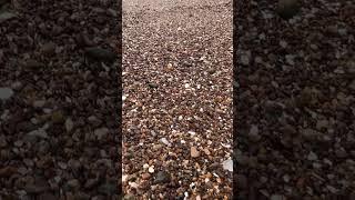 Clear sea glass. #beach #clear #SeaGlass