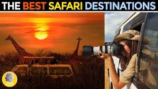 BEST SAFARI DESTINATIONS!