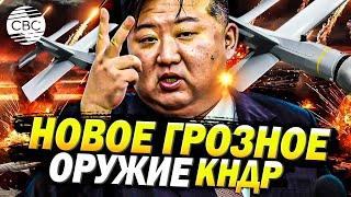 Ким Чен Ын приказал: КНДР запускает массовое производство дронов-камикадзе!