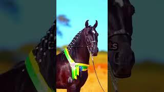 Edit Cavalo Mangalarga Marchador, #vaiprofycaramba #cavalos #foryou