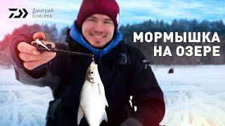 МОРМЫШКА НА ОЗЕРЕ x ДМИТРИЙ ЕЛИСЕЕВ