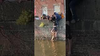 Good Samaritans ban together to rescue dog stranded in canal #shorts