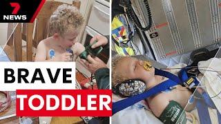 Adelaide toddler survives snake bite after alerting shocked mother | 7NEWS