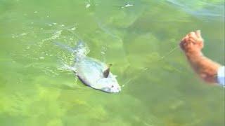 Sight Fishing the Flats for Permit and Tarpon Key Largo Florida