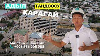 Адыл Акжол уулу "Карагайды" эмнеге тандады?