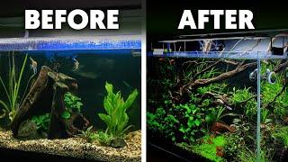 Aquascaping  9 Simple Techniques For Your First Planted Aquarium