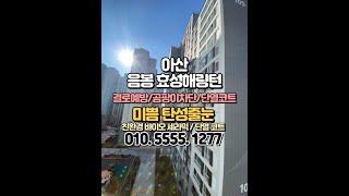 아산 탄성코트 음봉 효성해링턴, 한라비발디 전문 시공 베란다 결로 제습 단열 페인트