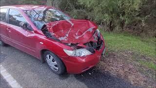 Toyota Corolla Versus Sambar Stag and the Cost of Living Crisis Victoria 31/07/2024