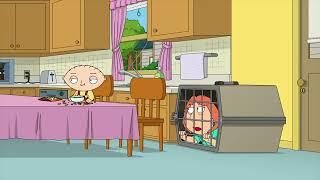 Family Guy - Stewie, Stewie? Stew? Stewart? Stew? Stewie?