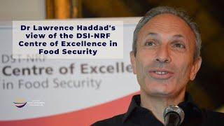 Dr Lawrence Haddad's view of the DSI-NRF Centre of Excellence in Food Security