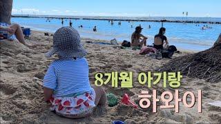 [미국 여행] 아기랑 오아후 5박 6일. 예쁜 해변 다 가보기. 원정육아