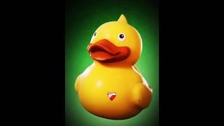 Mr Quack #mrquack #memes #funny #viral #trending