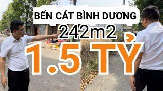 Đất Nền Bến Cát Bình Dương  Sát Dân Cư Và KCN 242m2 Còn 1.5 Tỷ