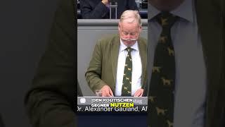 Gauland  Wer gefährdet Deutschlands Frieden #news #demo