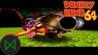 Even in Victory I'm Ashamed - Donkey Kong 64 [4]
