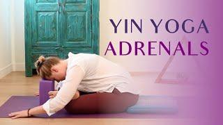 Yin Yoga for Adrenals | 45 min Yin Yoga to Restore Energy 