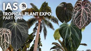 Is this real life?  IAS Tropical Plant Expo 2024 vlog (PART ONE)