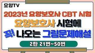 [요양보호사 시험대비] 시험대비 그림문제 2탄 21번~50번