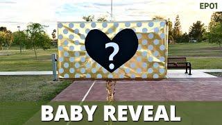 First YouTube Video | Baby Reveal & Family Intro