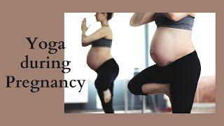 Yoga during Pregnancy | Back Strengthening |