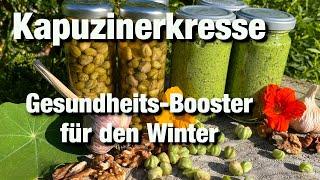 Pesto und falsche Kapern aus Kapuzinerkresse