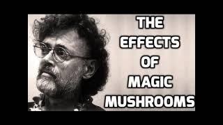 Terence McKenna - The Effects of Magic Mushrooms