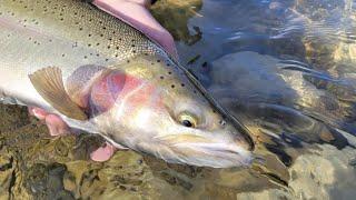 Tying Baitfish for Steelhead w/ Nick Groves