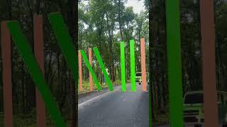 Torang pasu damai bataudaa zebra crossing #viralshorts #shorts #vfx #shortsfeed #shortsyoutube