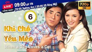 TVB Khi Chó Yêu Mèo tập 6/20 | tiếng Việt | La Gia Lương, Hồ Hạnh Nhi, Liêu Bích Nhi | TVB 2008