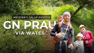 Melewati Jalur Eksotis Gunung Prau Via Wates, Jalur ternyaman untuk keluarga [PART1]