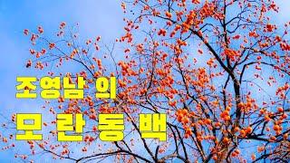 조영남의 모란동백 / 이제하 작사 / 모란동백 / 영원한방랑객 노래 /