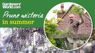 PRUNE WISTERIA now for more flowers next spring | David's guide to summer pruning wisteria