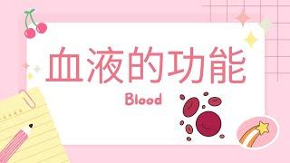 血液Blood | 血液的成分和功能 | 红血球Erythrocyte、白血球Leucocyte& 血小板Platelet的功能