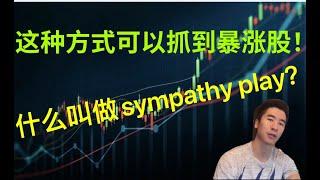 （7月5日）这种方式可以抓到暴涨股！！！ 什么叫做sympathy play？？？技术干货