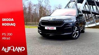 7 Sitze im Skoda Kodiaq- Car Review