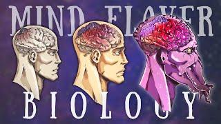 The Terrifying Life Cycle of the Mind Flayer | Illithid Biology Explained